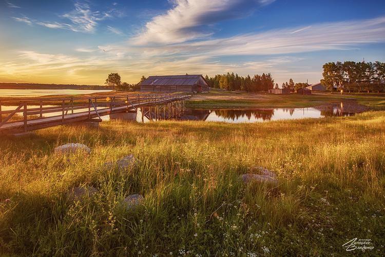 О чем молчит Каменный лес