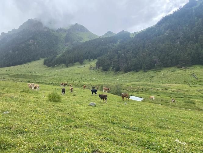 Автобус| Пауза, которую не хочется нарушать