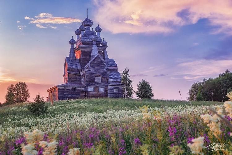 Автобус| В ритме Немецкой слободы: знакомство с искусством пивоваров