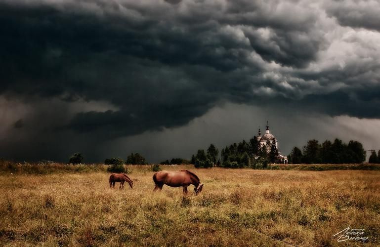 Автобус | Болгар и Гарибальди: в гостях у истории