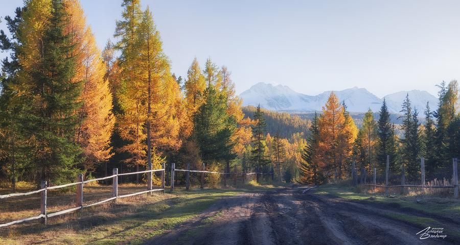 Красота Горного Алтая