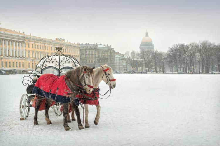 География души: Где каждый дворец — точка на карте