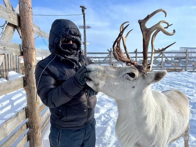 Последний километр севера России: полуострова Средний и Рыбачий (промо)
