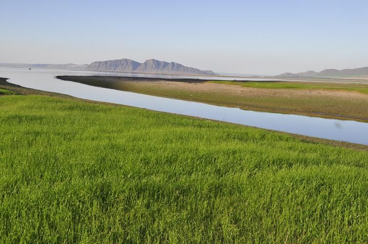 Камчатка в цветах: не просто дикая — яркая