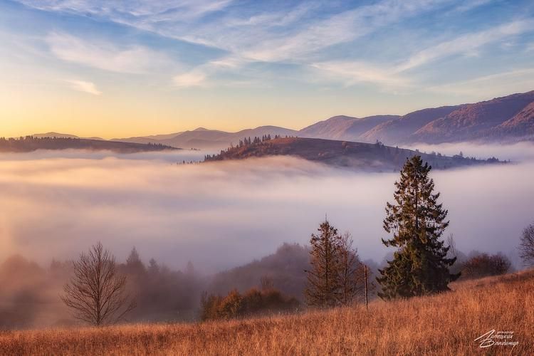 Новый год, как в сказке Шехерезады