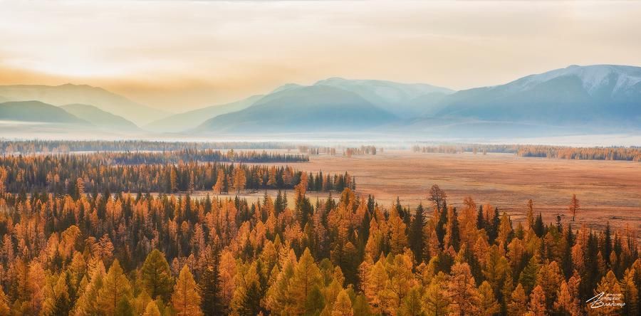 Влюбиться в Алтай (промо)