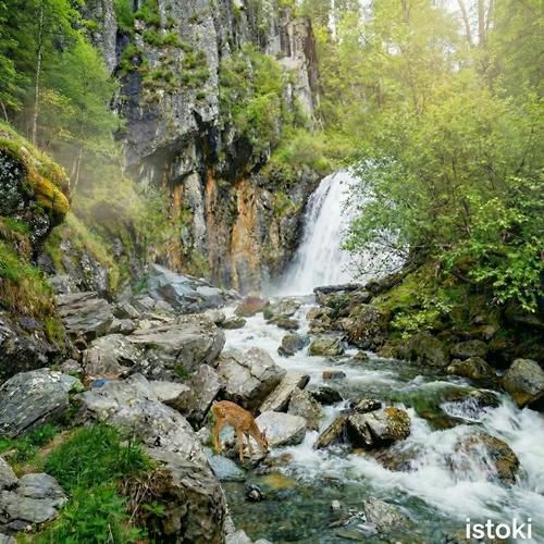 По бурным водам Алтая: рафтинг‑приключение
