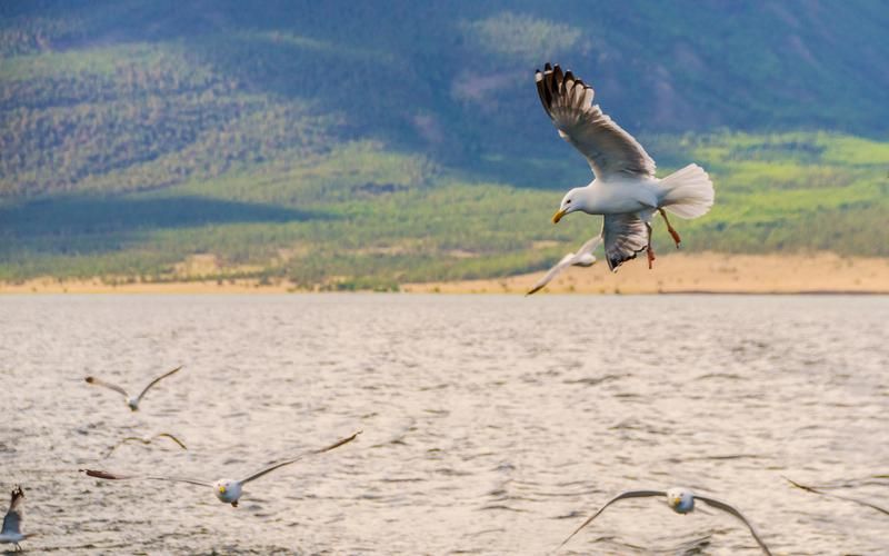 Кольский код: тишина + ветер + горизонт