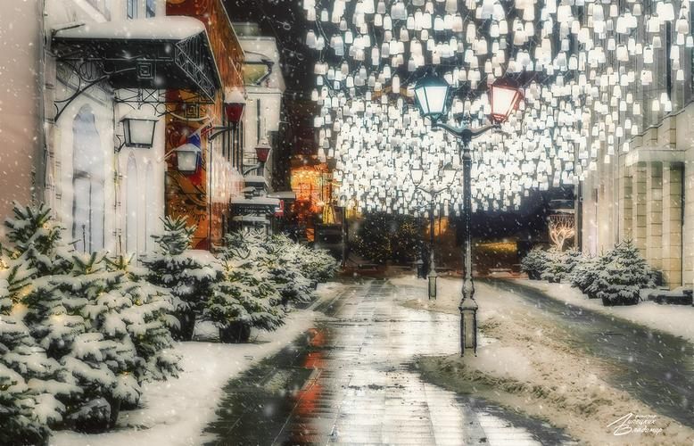 Дельфины и термы: выходные на максимум