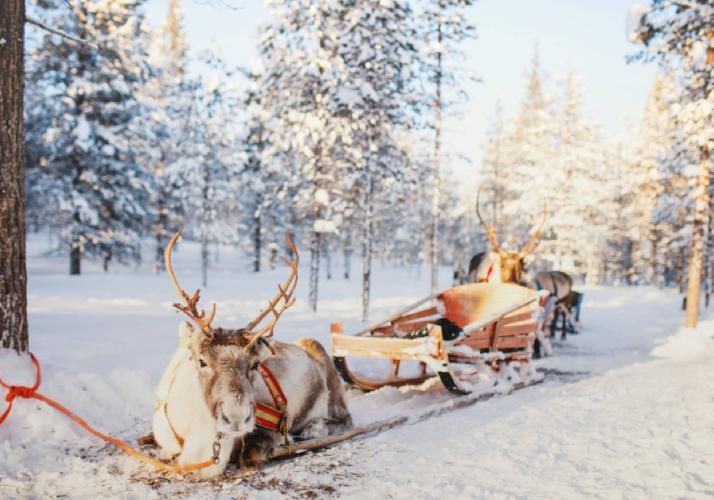 Санкт-Петербург: Столица вдохновения