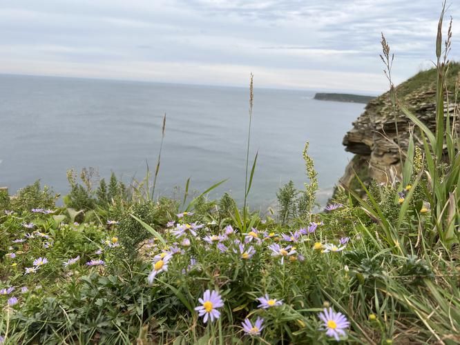 Приморье, где каждый вдох под водой — это возвращение к истокам