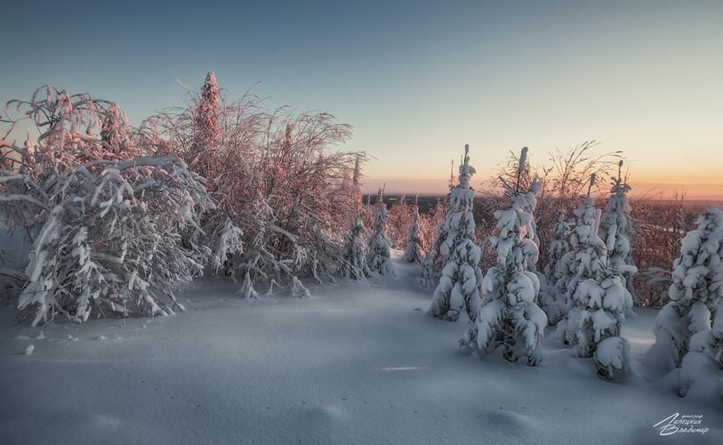 Забудь про город — в Кирове Рождество живёт. Приезжай, пока снег не растаял
