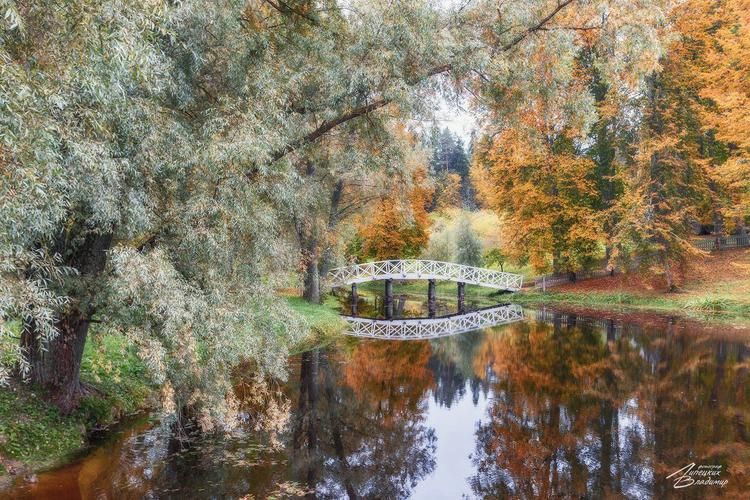 Псков. Четыре дня. Одна тишина.