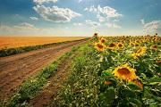 Удмуртия в блюде: гастрономическое путешествие