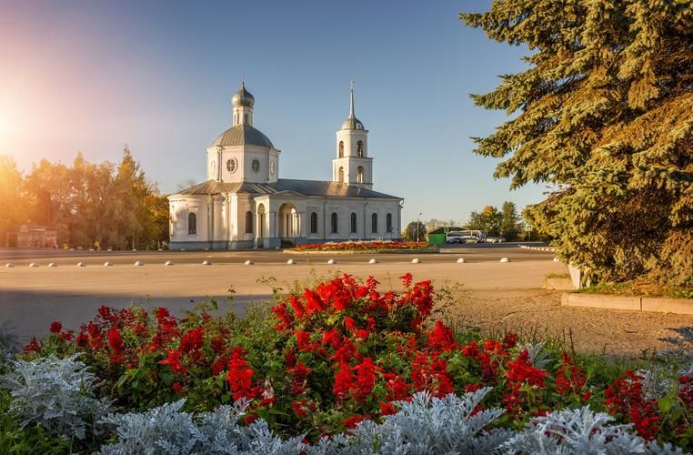 Автобус| Музы на крыльях: где искусство взлетает