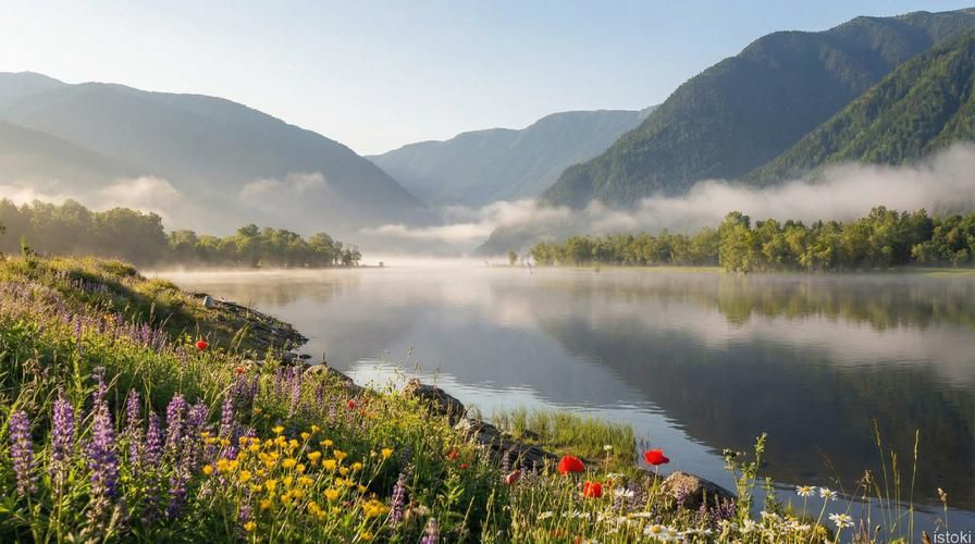 Белокуриха в летнем убранстве