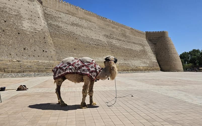 От Самарканда до вершин Тянь-Шаня