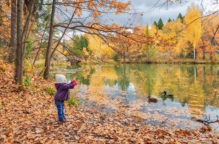 Автобус| В погоне за незабываемыми моментами